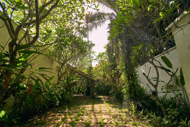 Landscape Design