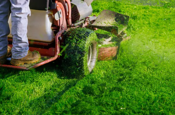 Lawn Care
