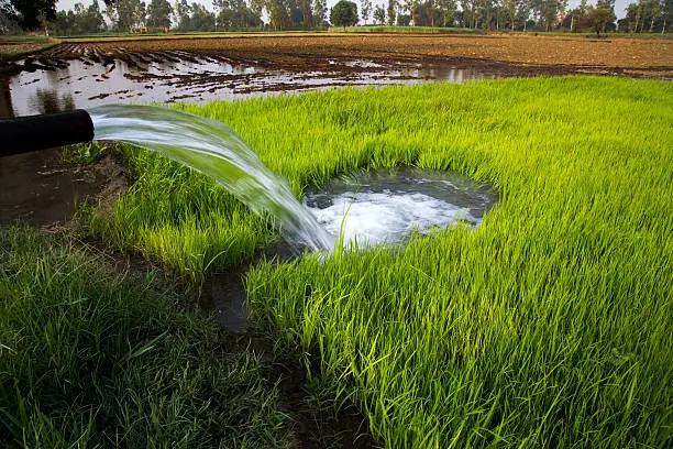 Irrigation Systems